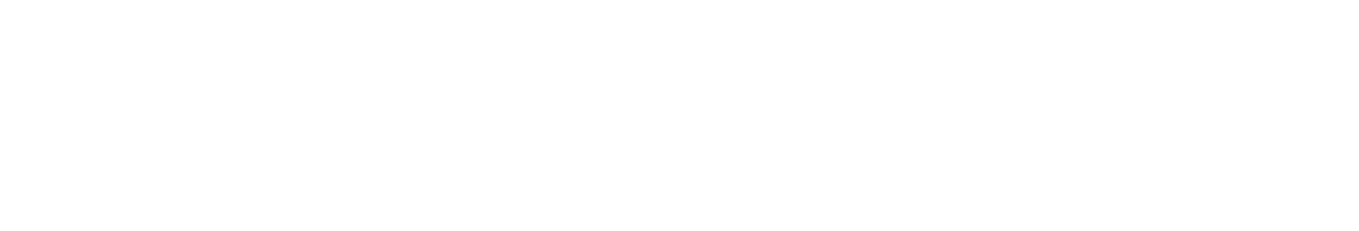 NextLevel Wardrobe Main Logo