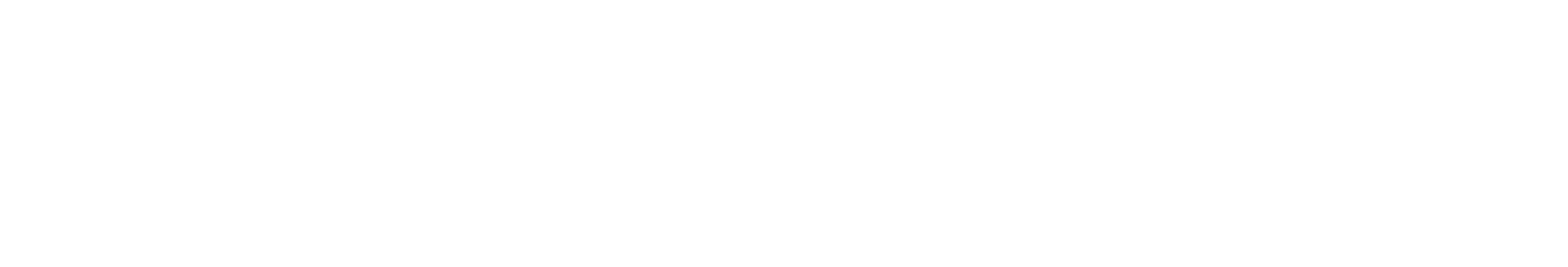 NextLevel Wardrobe Main Logo